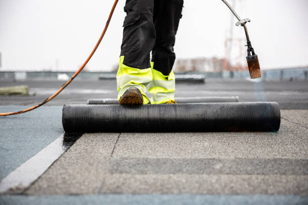Best Steel Roofing  in Clarence Center, NY