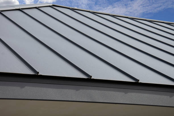 Best Skylight Installation and Repair  in Clarence Center, NY